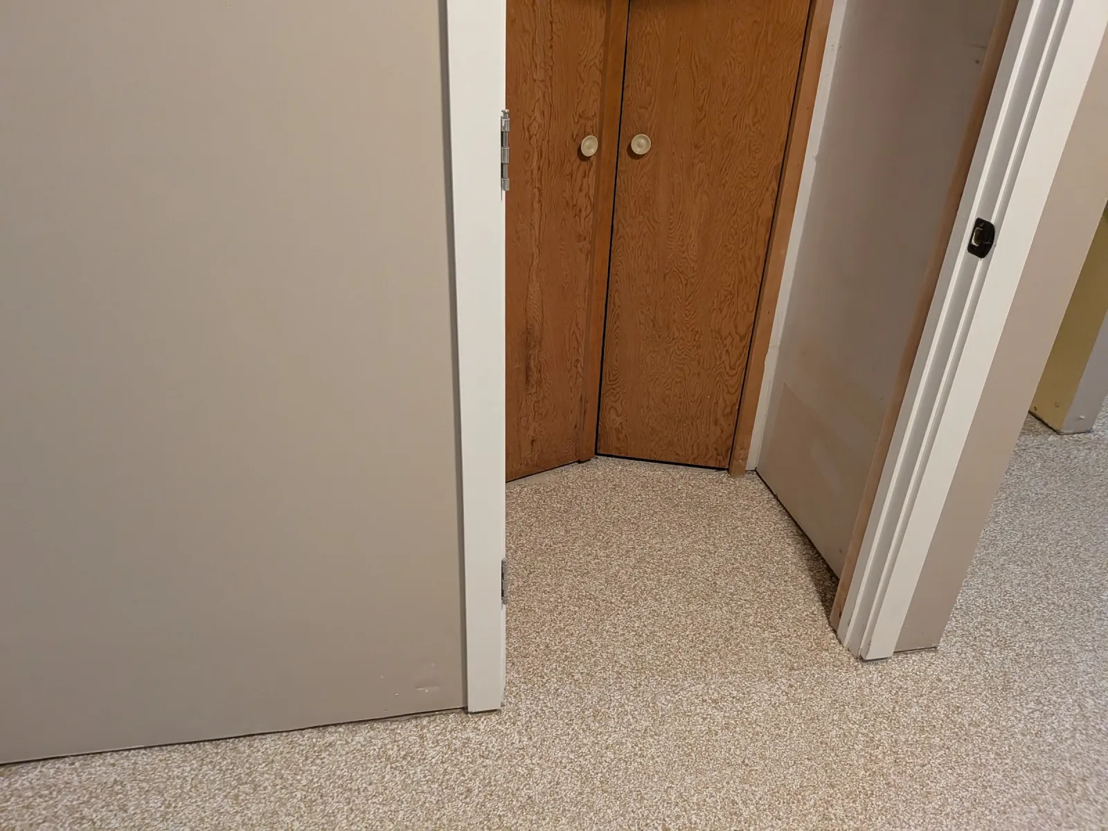 Flake epoxy floor running continuously through a hallway and two open doorways with no seam or threshold.